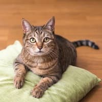 よくあるご質問