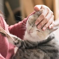 ご利用料金